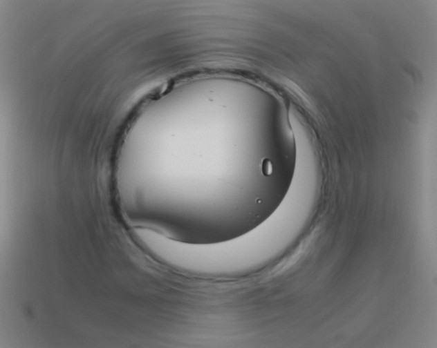 X0000113591065200910161838