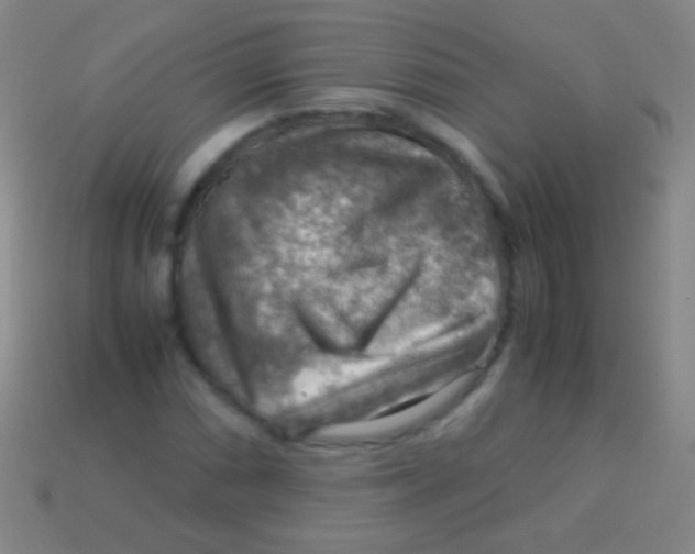 X0000113591066200910161838