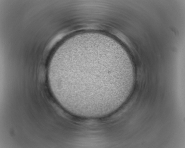 X0000113591067200910161838