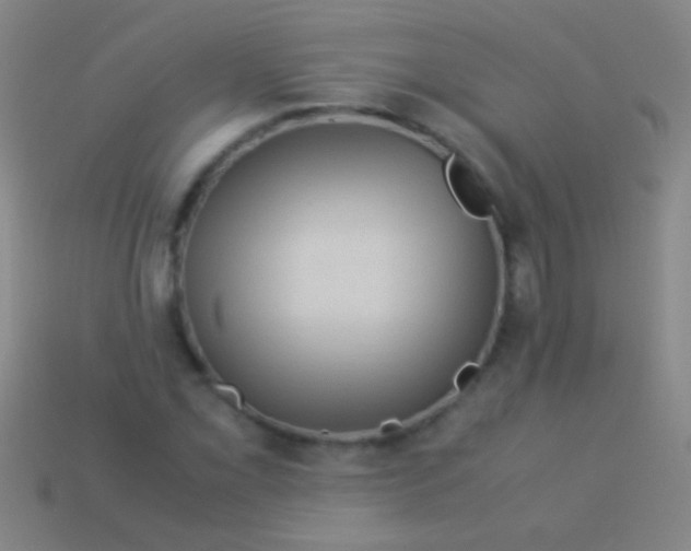 X0000113591069200910161838