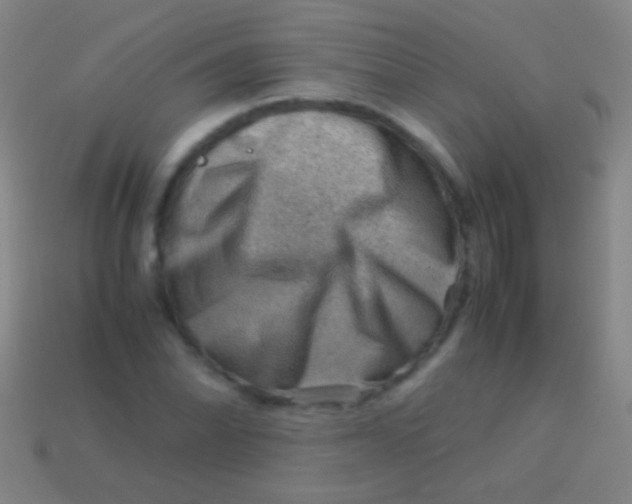 X0000113591070200910161838