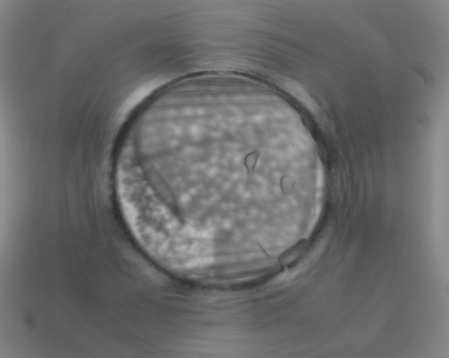X0000113591071200910161838