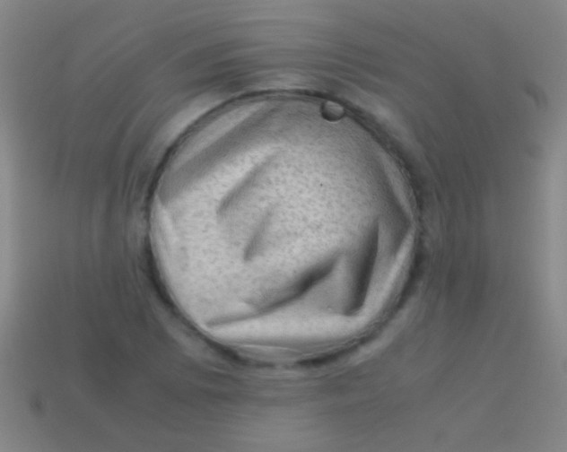 X0000113591073200910161838