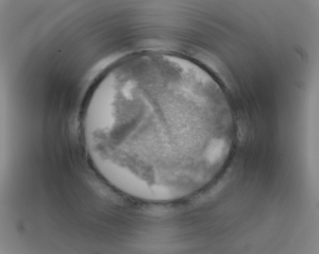 X0000113591074200910161838