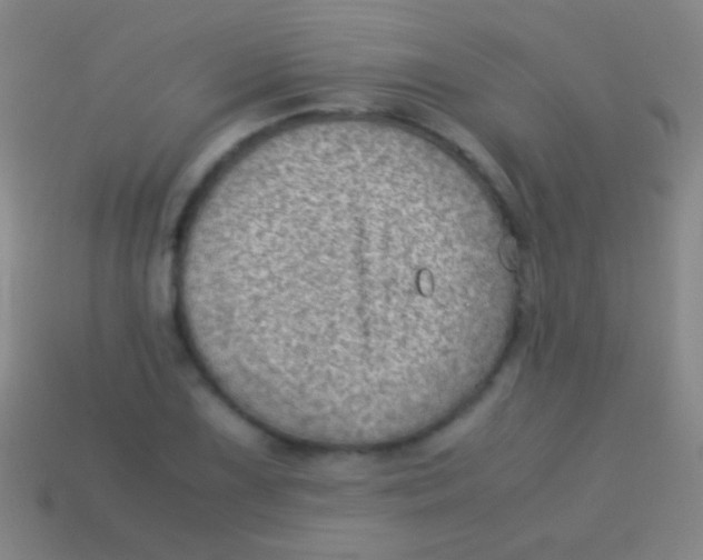 X0000113591075200910161838