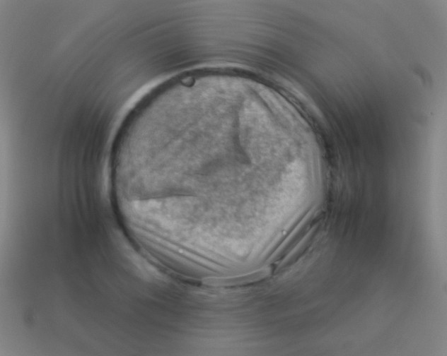 X0000113591076200910161838