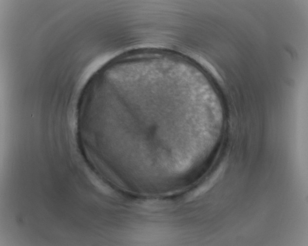 X0000113591077200910161837
