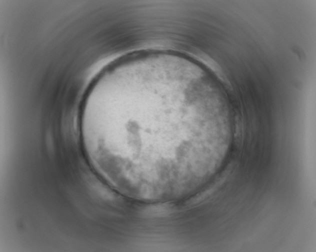 X0000113591078200910161837