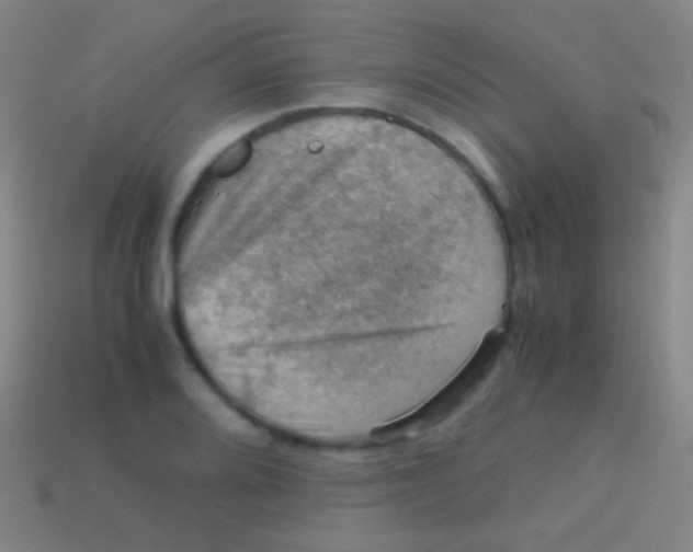X0000113591080200910161837
