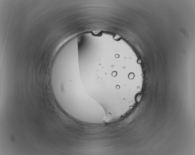 X0000113591081200910161837