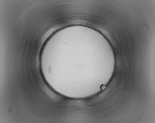 X0000113591082200910161837
