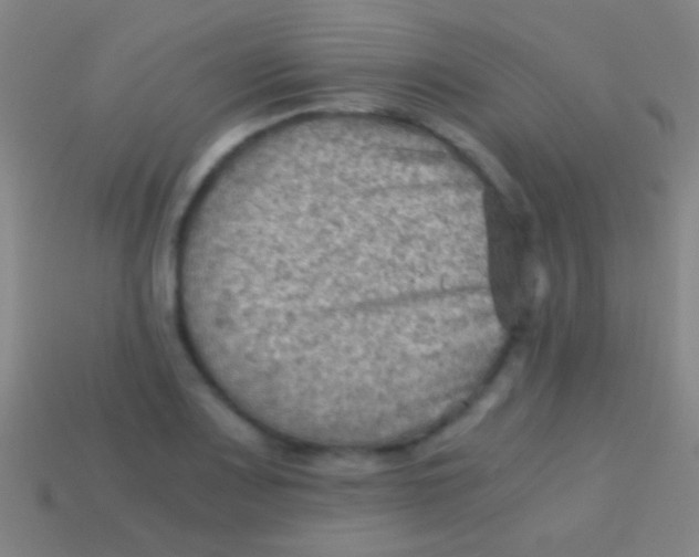 X0000113591083200910161837