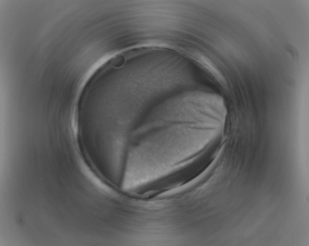 X0000113591084200910161837