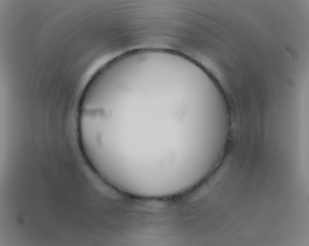 X0000113591085200910161837