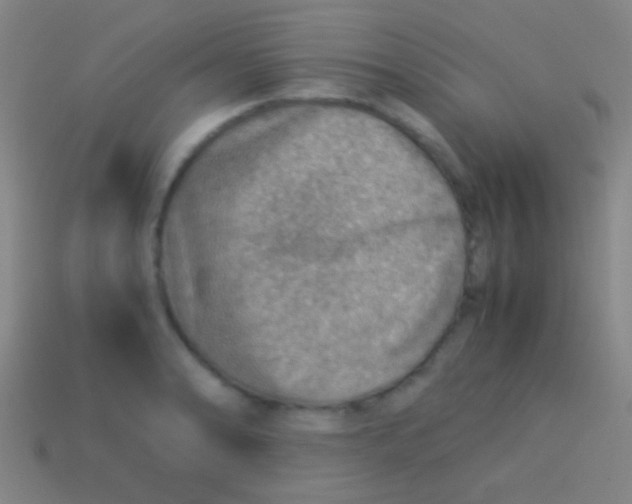 X0000113591086200910161837