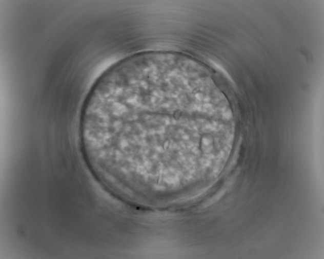 X0000113591087200910161837