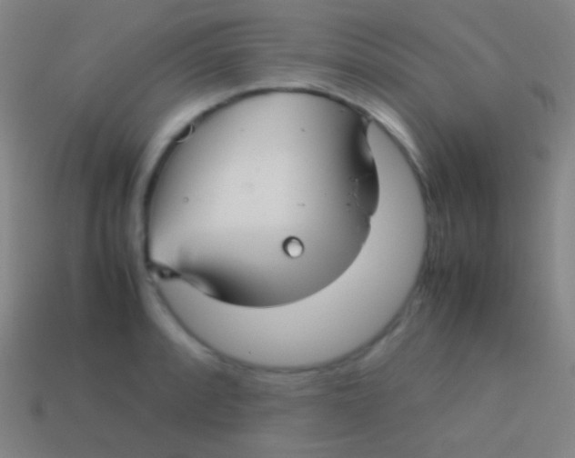 X0000113591088200910161837