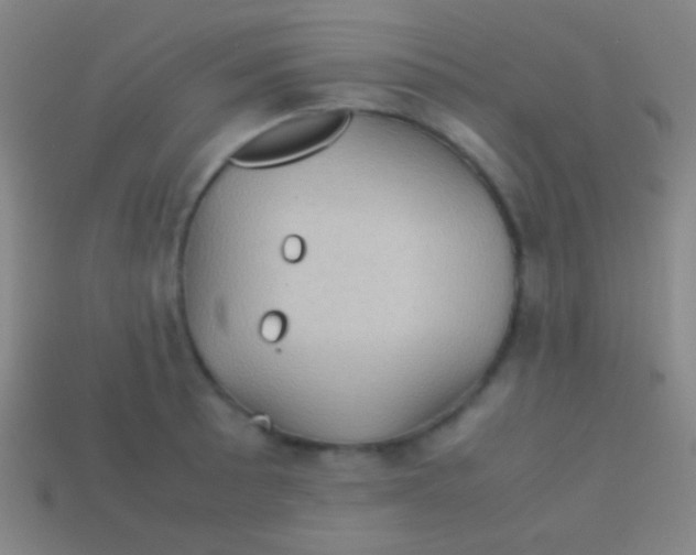 X0000113591089200910161837