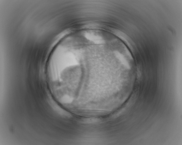 X0000113591090200910161837