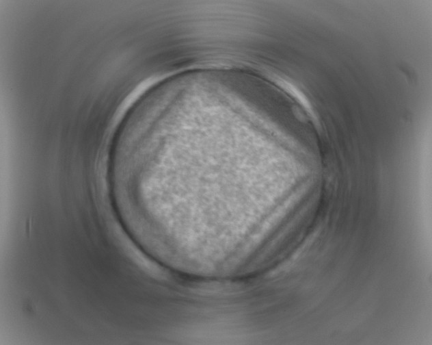 X0000113591091200910161837