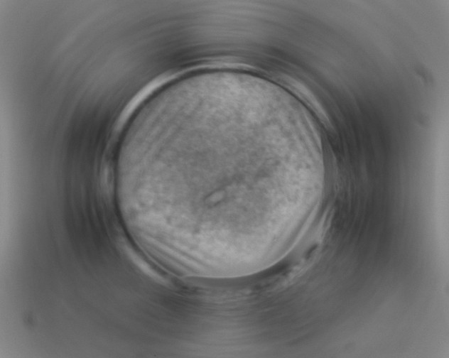 X0000113591092200910161837
