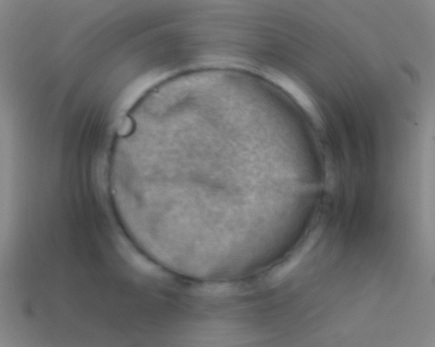 X0000113591094200910161837