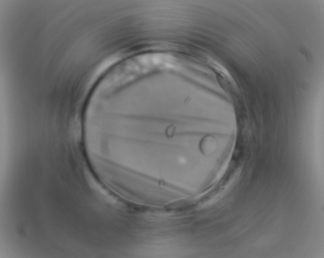 X0000113591095200910161837