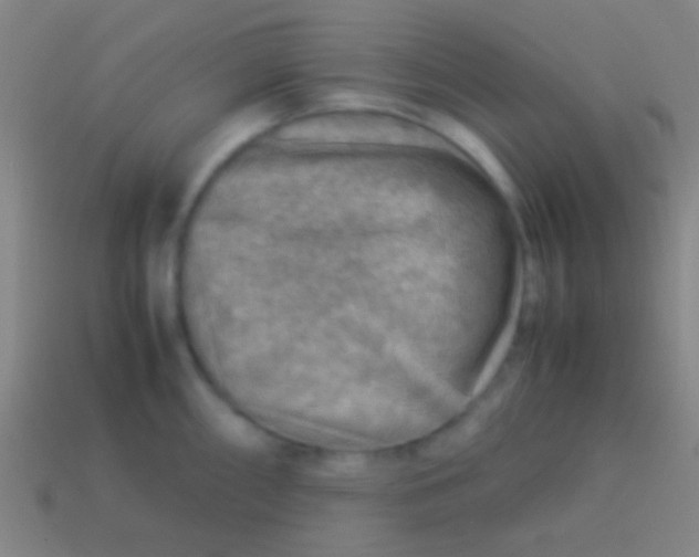 X0000113591098200910161837