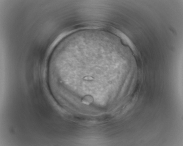 X0000113591099200910161837