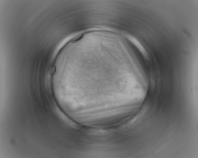X0000113591100200910161837