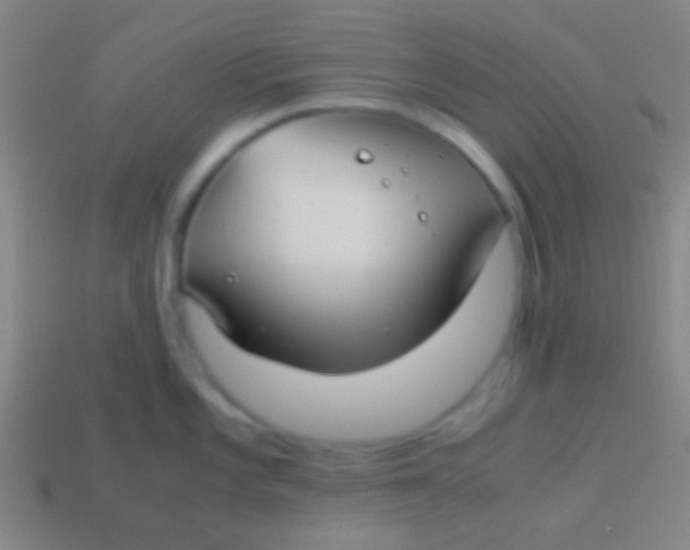 X0000113591101200910161837
