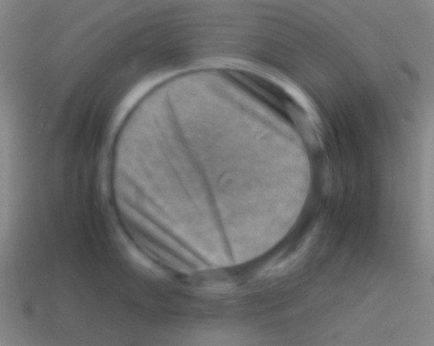 X0000113591102200910161837