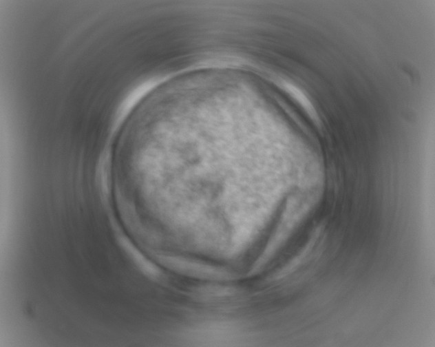 X0000113591103200910161837