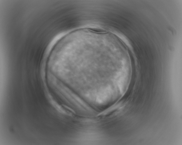 X0000113591104200910161837