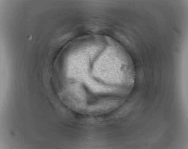 X0000113591105200910161836