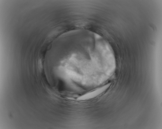 X0000113591106200910161836