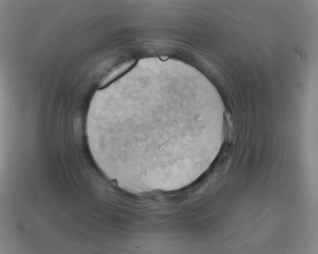 X0000113591108200910161836