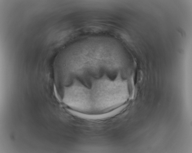 X0000113591109200910161836