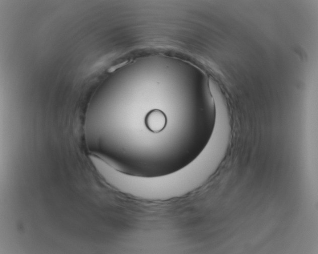 X0000113591110200910161836