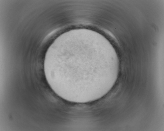 X0000113591112200910161837