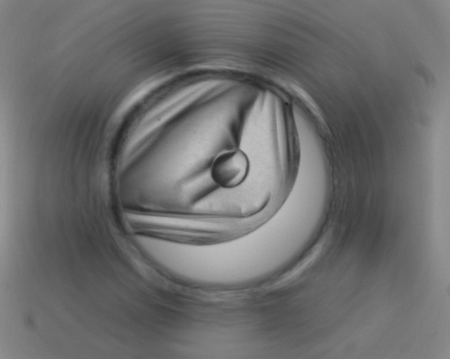 X0000113591114200910161837