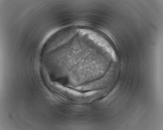 X0000113591115200910161837