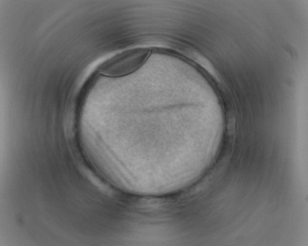 X0000113591116200910161837