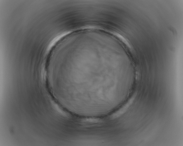 X0000113591117200910161837