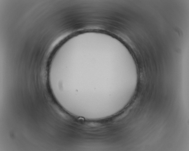 X0000113591119200910161837
