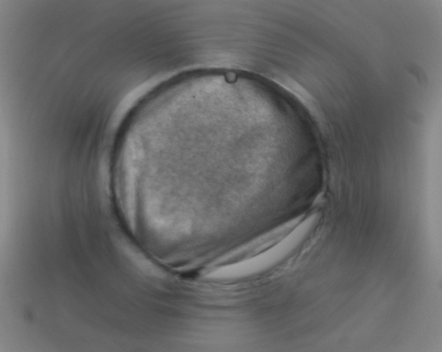 X0000113591120200910161837
