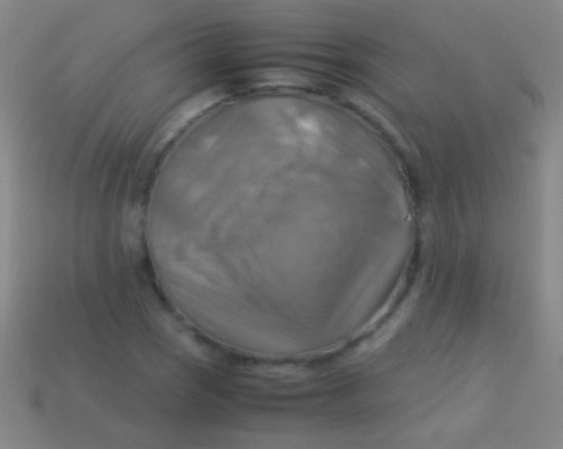 X0000113591121200910161837