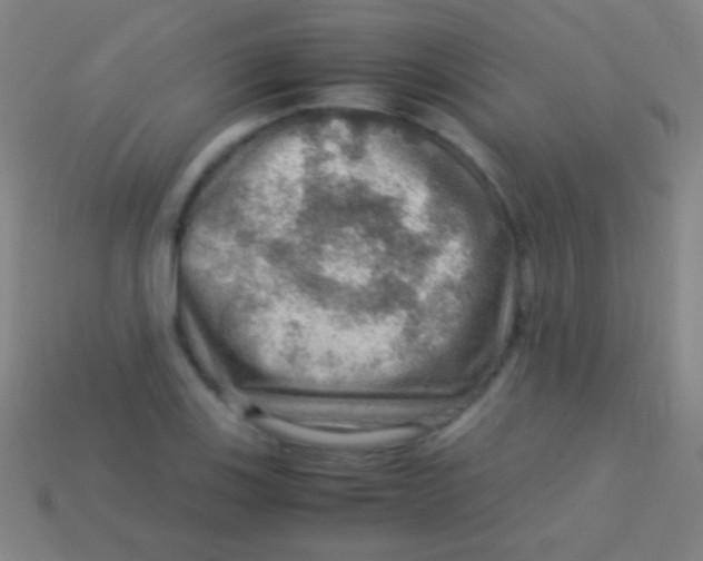 X0000113591123200910161837