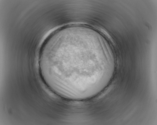 X0000113591124200910161837