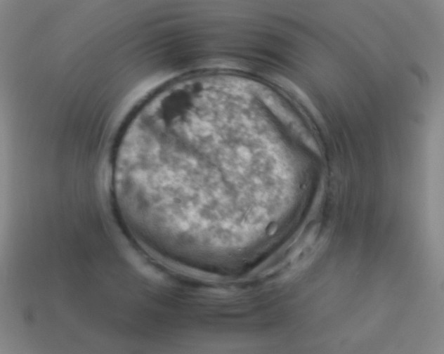 X0000113591125200910161837